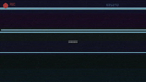 周末随拍记录 - 打人柳 原创视频